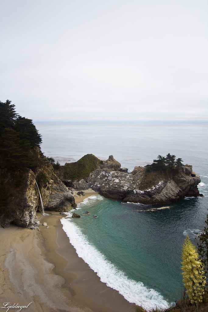 Pfeiffer Big Sur State Park-2.jpg